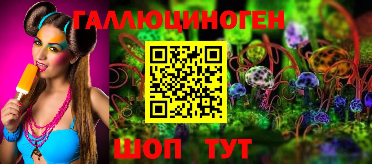 Екатеринбург  Псилоцибиновые грибы Psilocybe  Вход с VPN 
